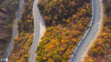 DJI_0104