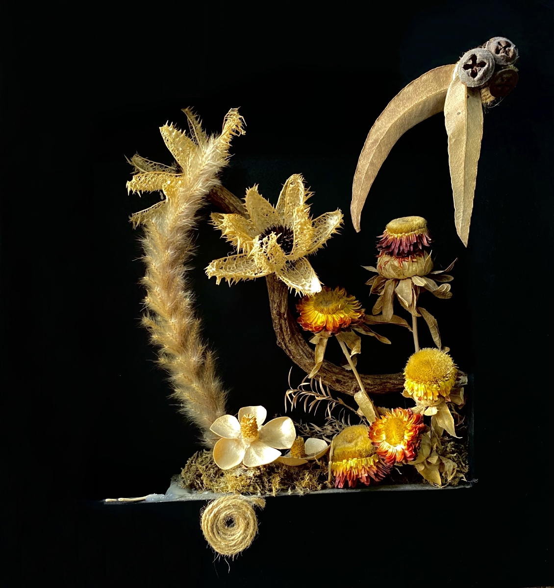 干花植物艺术作品照片