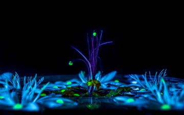 03665_luminous_3840x2400
