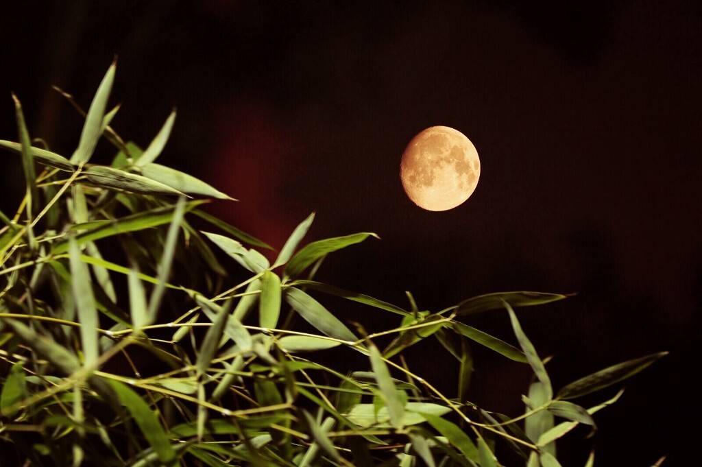 唯有夜半时感受到一丝静谧