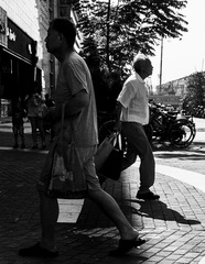 _DSC3129
