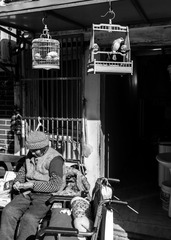 _DSC3749