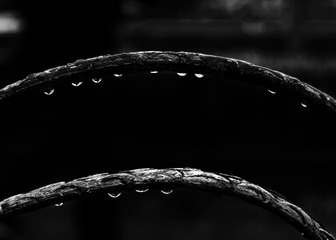 _DSF7134