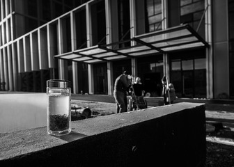 _DSC4528