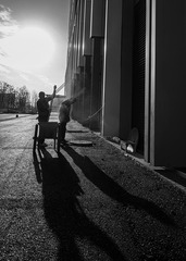 _DSC4523