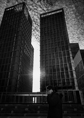 _DSC4451