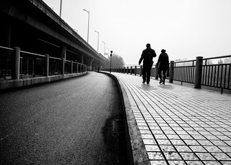 _DSC4550