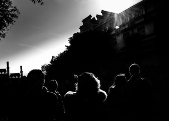 _DSC4784