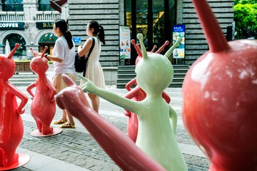 _DSF2050
