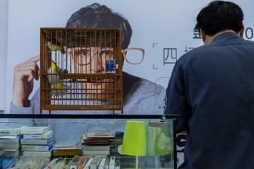 _DSF4088