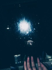 165029