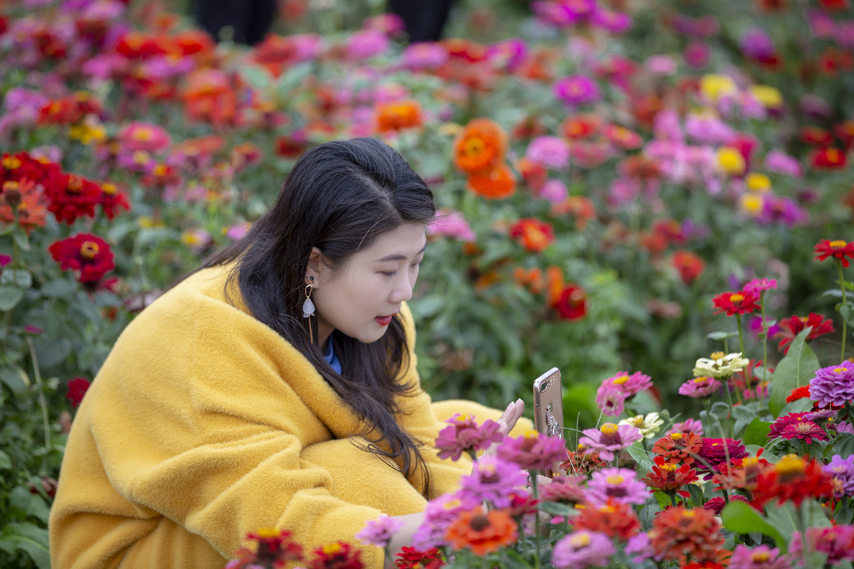 心花怒放 - 好心情118 - 图虫