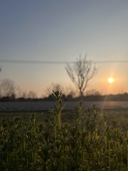 58DB1045-91CD-4FA7-9668-8E59F62060FD/L0/001