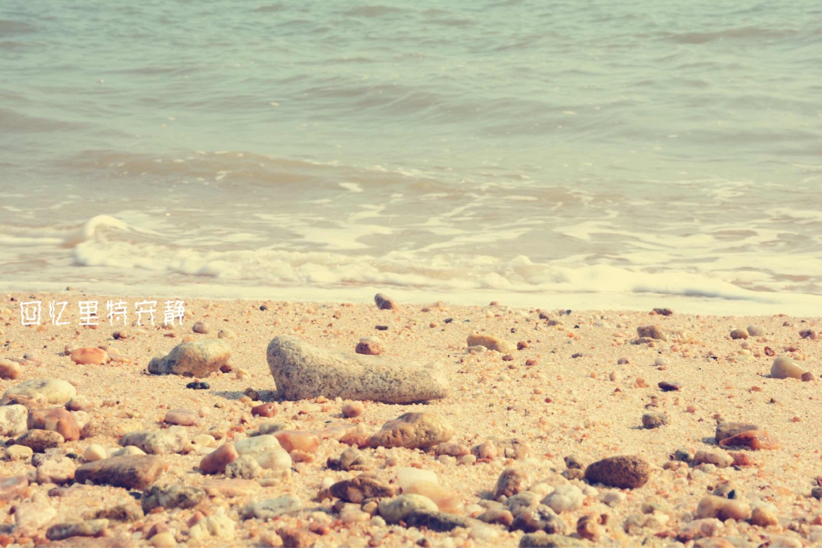 山东外事翻译学院,好久不见