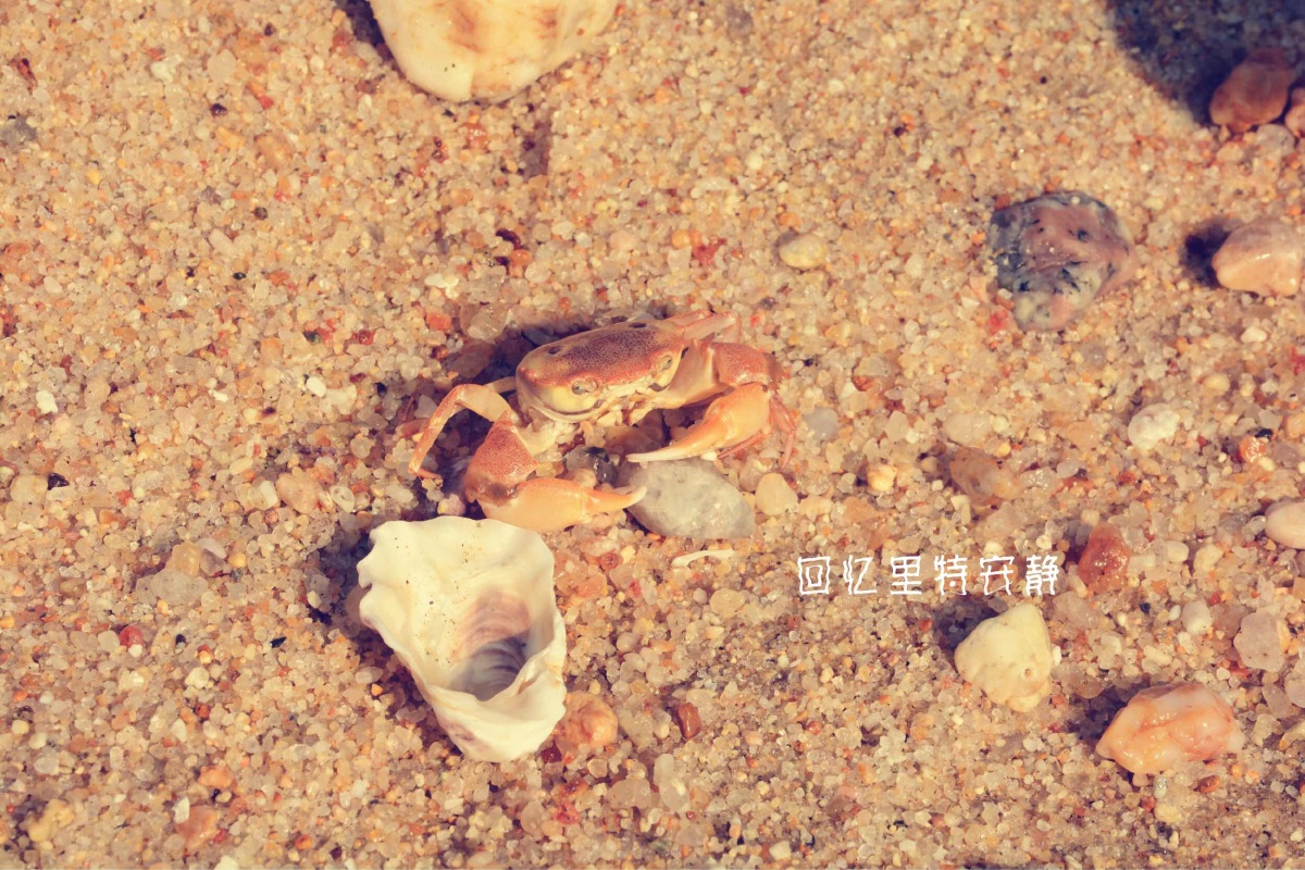 山东外事翻译学院,好久不见 - 风光, 尼康D7100