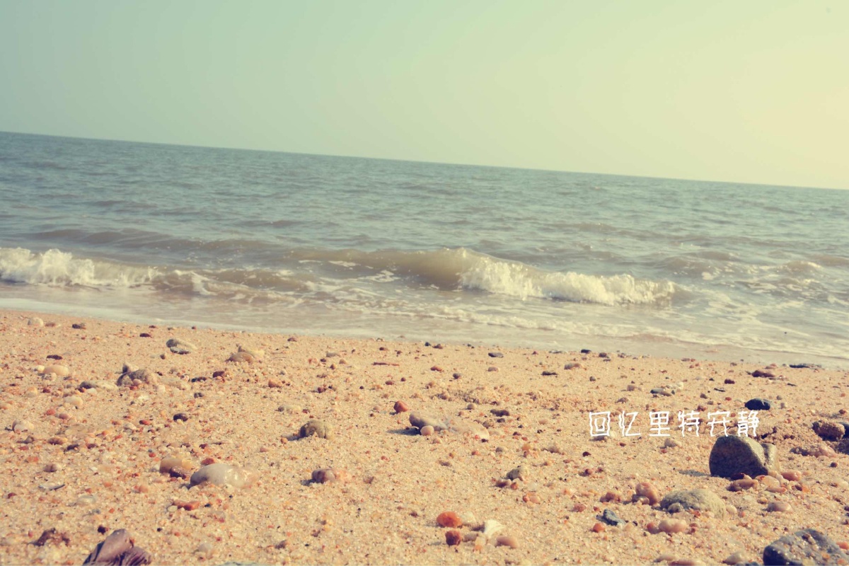 山东外事翻译学院,好久不见