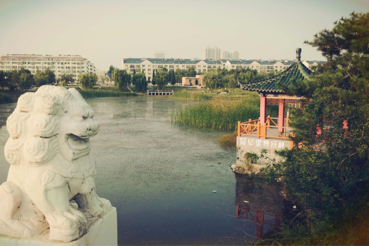 山东外事翻译学院,好久不见 - 风光, 尼康D7100