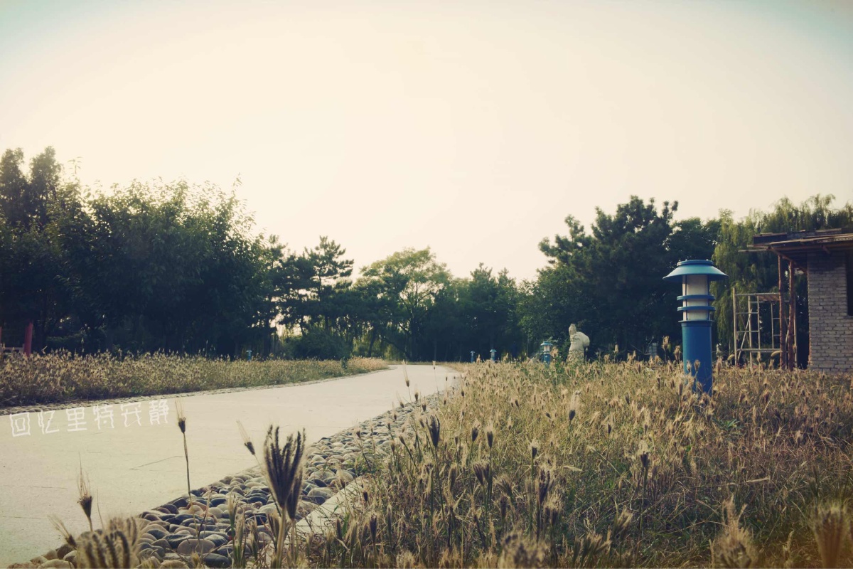 山东外事翻译学院,好久不见 - 风光, 尼康D7100