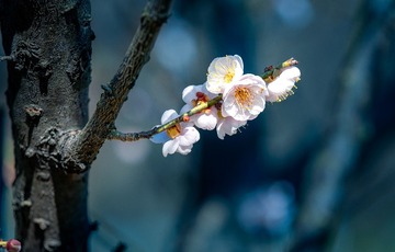 未标题-1