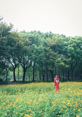 20221009-DSC_6663-43 - 副本