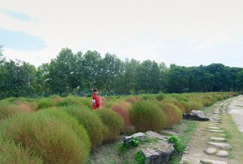 20221009-DSC_6299-13