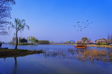 无锡鼋头渚1