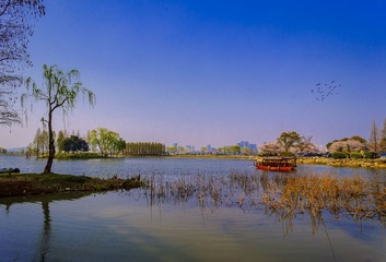 无锡鼋头渚1
