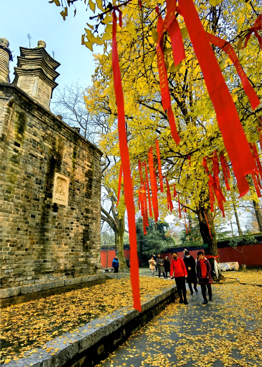 襄阳广德寺 千年银杏