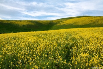IMG_0838-Edit