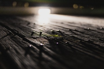 1000002643