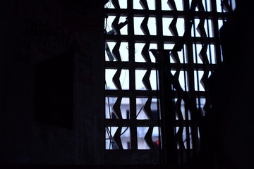 TJQ_9556