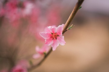 105185