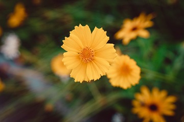 1000002562