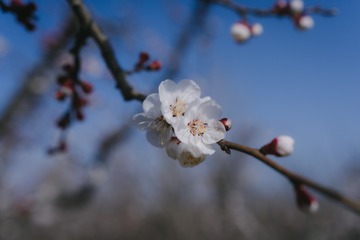 103015
