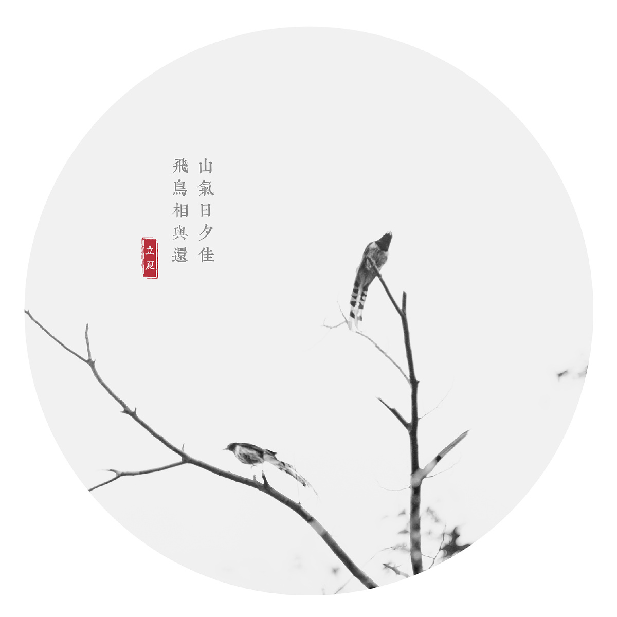 山气日夕佳飞鸟相与还