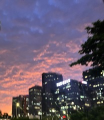 E7638A5F-11C7-45A4-A543-1B6966AD768D/L0/001