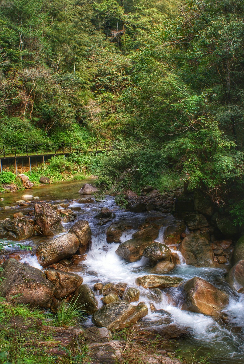山涧溪流通幽处