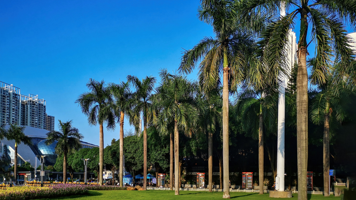 南宁民生广场一角