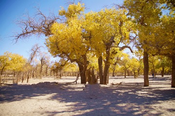 DSC00640_