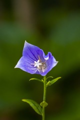 DSC08689