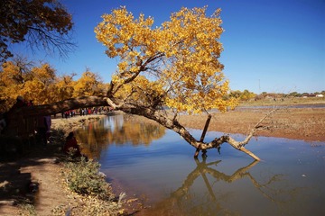 DSC00682_