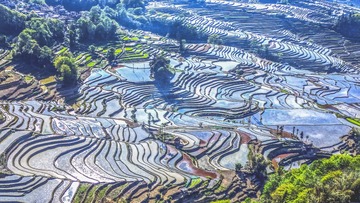DJI_0874