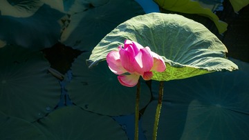 DSC06402