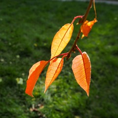 PA020631