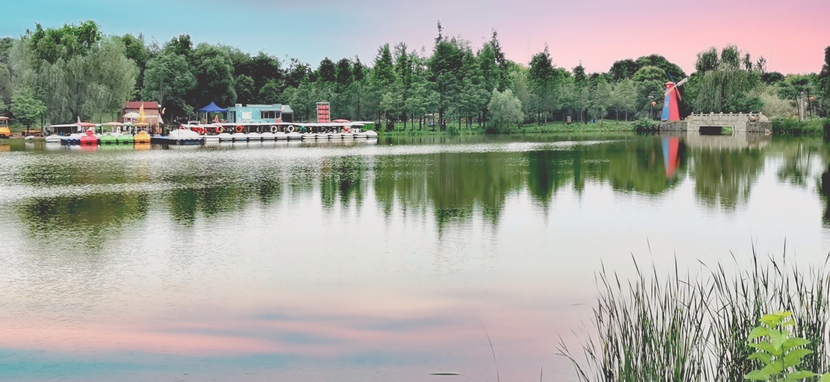 初夏的感觉摄于南京板桥镇湿地公园