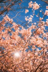 79DF4A05-3F05-4A51-93CC-A4BF633E8942/L0/001