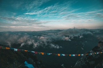 1000029224