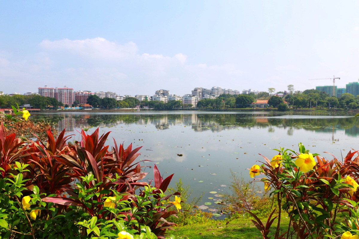 广东梅州剑英公园风景如画小桥流水杨柳依依入人眼摄于2020年10月3日