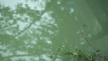 DSC01081_