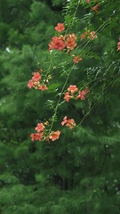 DSC01375__